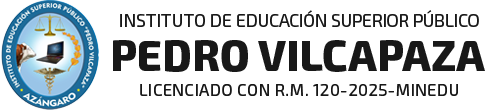 Logo Instituto Pedro Vilcapaza